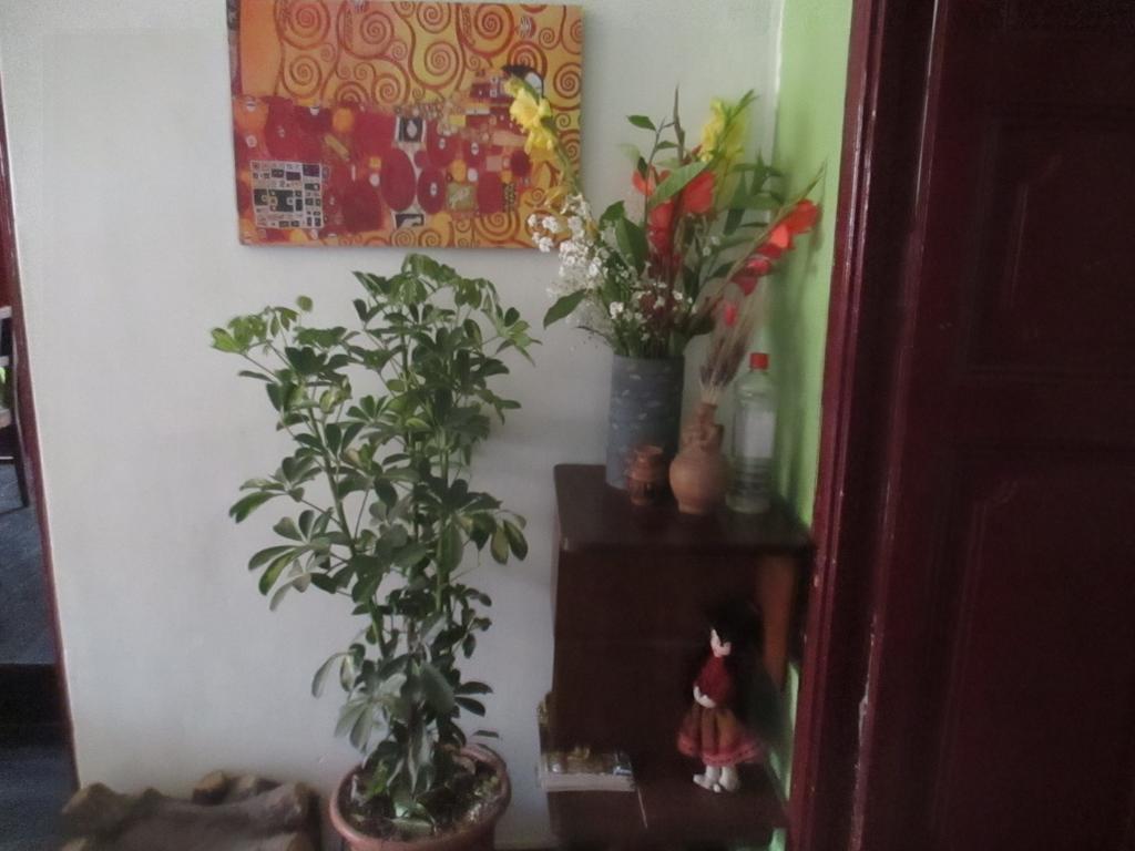 Peruvian Hostal Куско Екстер'єр фото